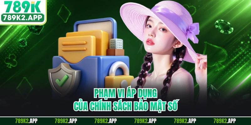 Phạm vi áp dụng của chính sách bảo mật số